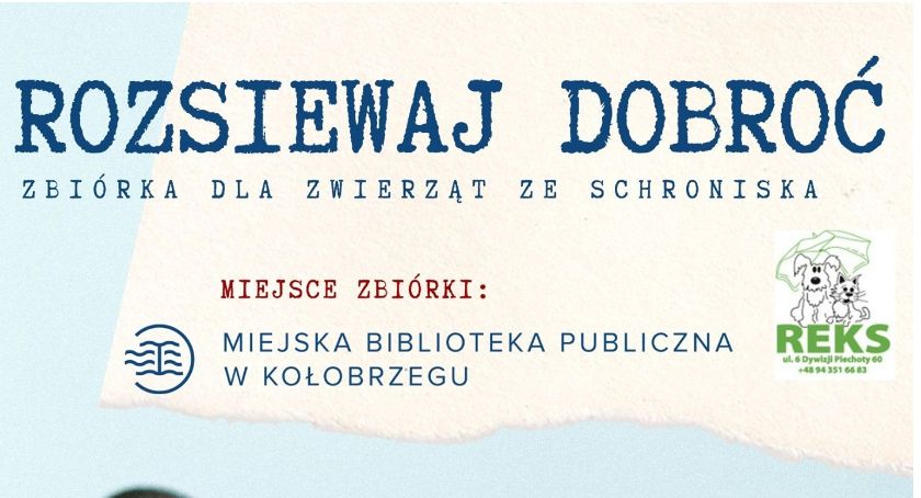 Zbiórka na rzecz kołobrzeskiego schroniska. Włącz się do akcji