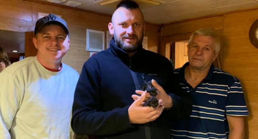 Załoga kutra uratowała kocięta. Mężczyźni przez cztery dni zastępowali maluchom matkę