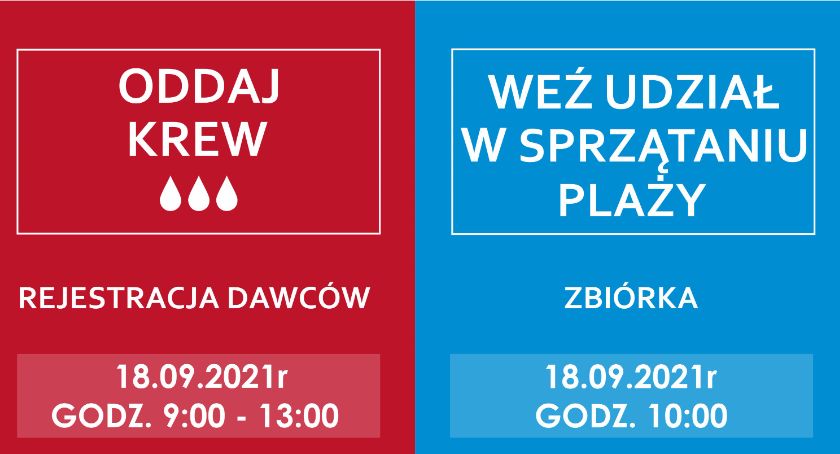 Pomagać można na wiele sposobów. Oddaj krew, posprzątaj plażę