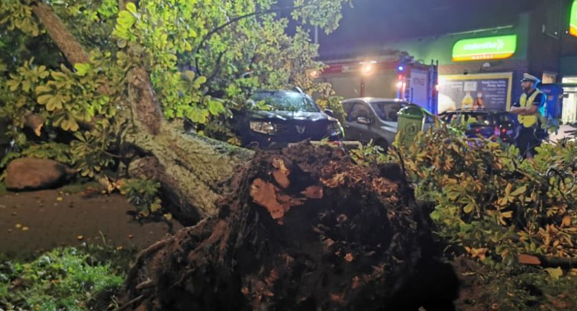 Powalone drzewa na samochodach. Wiatr przybiera na sile