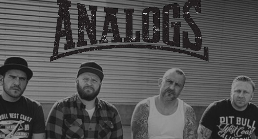 Koncert The Analogs
