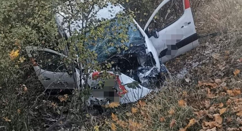 Wypadek pod Ustroniem Morskim. Samochód uderzył w drzewo 