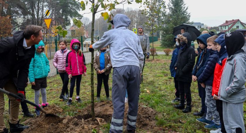 Posadzą 5,5 tysiąca krzewów