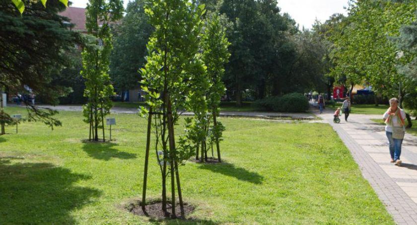 Wraca sprawa lokalizacji pomnika katyńskiego w centrum miasta. Grupa radnych zgłosiła projekt uchwały