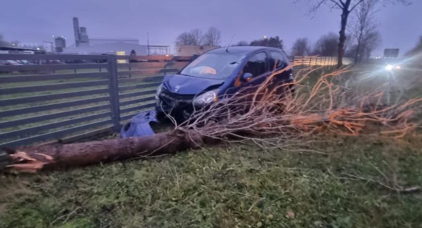 Ścięła drzewo i uderzyła w ogrodzenie (foto)