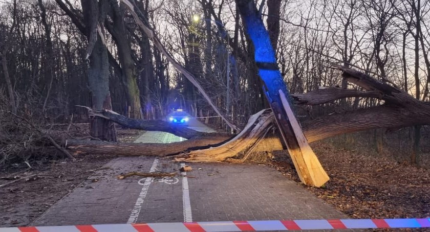 Pracowita doba dla strażaków. Ponad 30 interwencji na terenie powiatu kołobrzeskiego