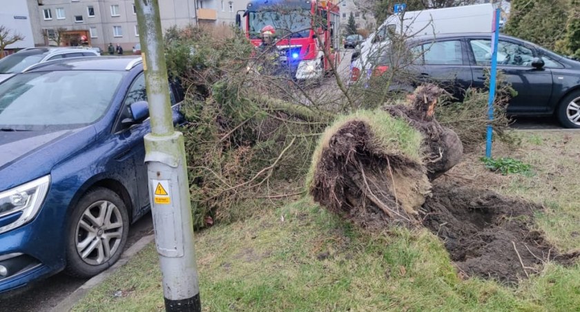 Wichura w powiecie kołobrzeskim. Kilkadziesiąt interwencji strażaków (foto)