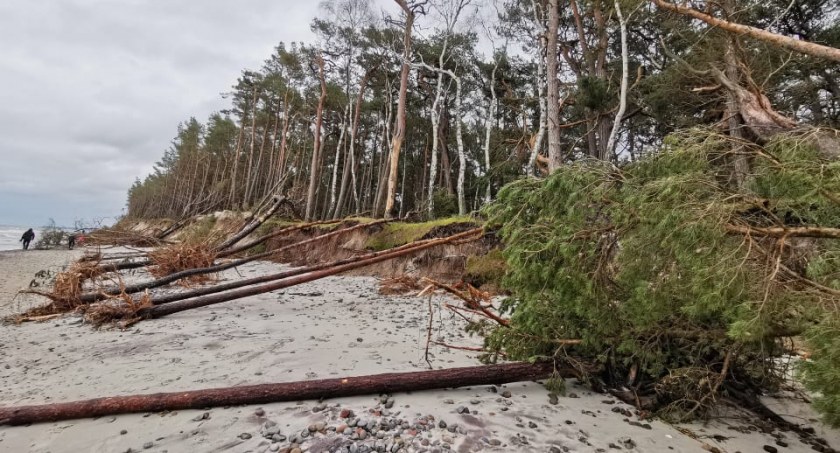 Plaża w Dźwirzynie. Nadal widoczne są skutki wichury (foto)