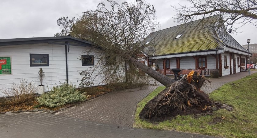 Drzewa padają na budynki i chodniki (foto)