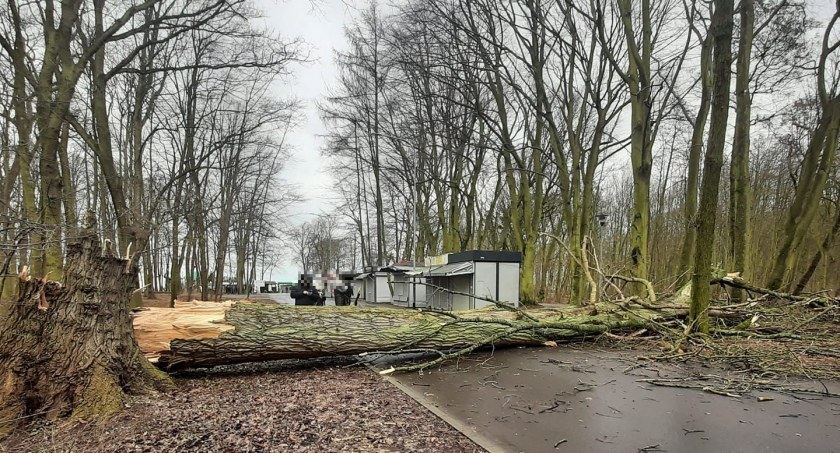  Sobotnia wichura w obiektywie naszych Czytelników - fotogaleria