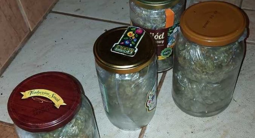 Trzymał ponad pół kilograma marihuany w słoikach. Został tymczasowo aresztowany