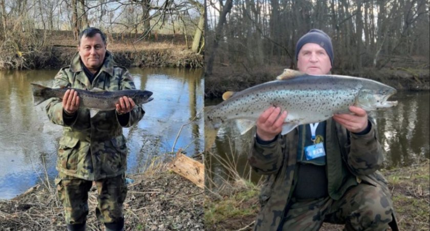 Złowili tylko dwie trocie podczas Memoriału Wiktora Wierzbickiego (foto)