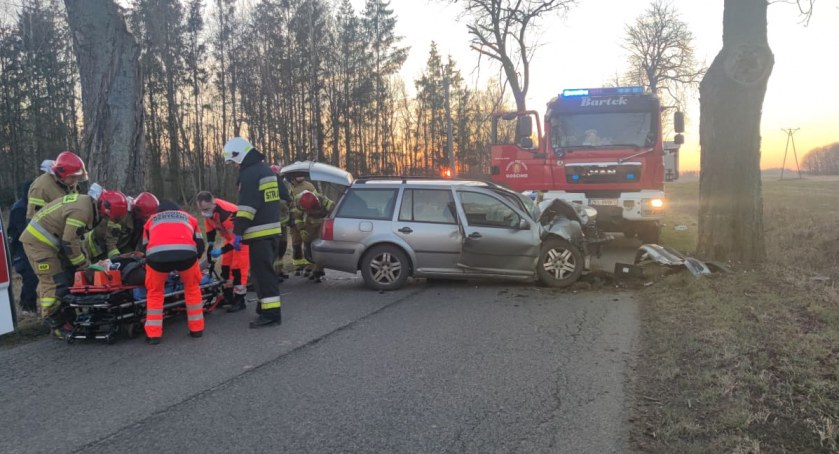 Samochód uderzył w drzewo. Jedna osoba poszkodowana (foto)