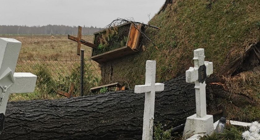 Na cmentarzu runęło drzewo. Groby zostały wyrwane z ziemi 