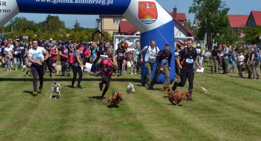 VIII Kołobrzeski Dogtrekking. Weź udział w marszu na orientację ze swoim pupilem