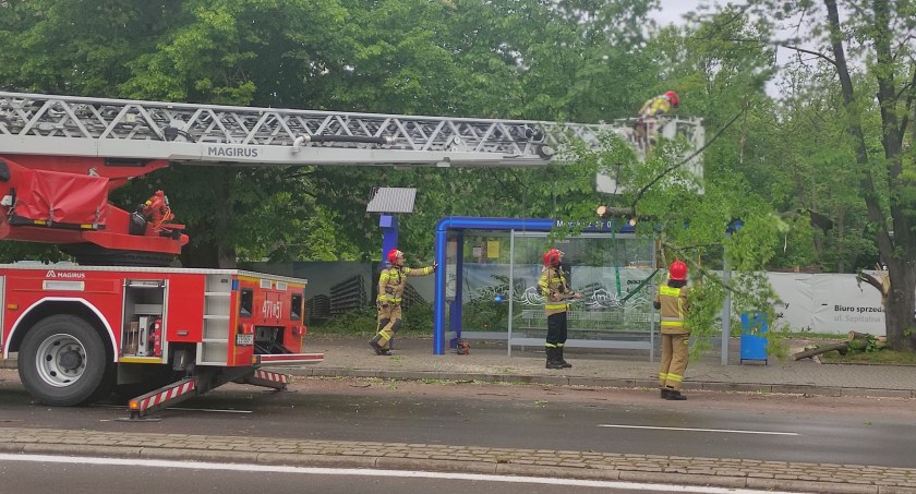 Drzewo spadło na przystanek 