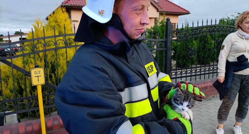 Kot utknął w studzience kanalizacyjnej. Uratowali go strażacy