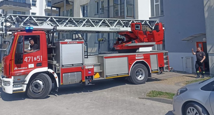 Nietypowa interwencja strażaków