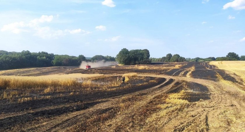 Pożar zboża. Śmigłowiec i kilkanaście zastępów straży pożarnej 