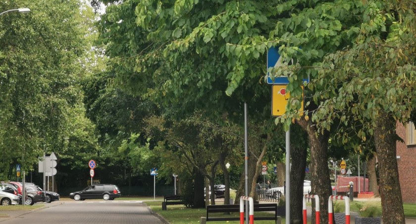 Zieleń zasłania znaki drogowe. Wszystko ma miejsce w pobliżu szkoły