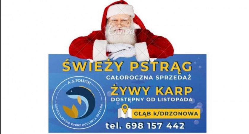 Świeży pstrąg i karp