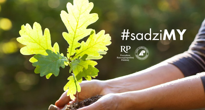 Akcja #sadziMY w Nadleśnictwie Gościno. Odbierz darmowe sadzonki drzew