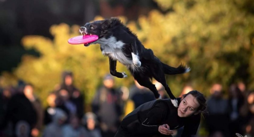 Ze swoim psem wywalczyła szóste miejsce na Mistrzostwach Świata w DogFrisbee