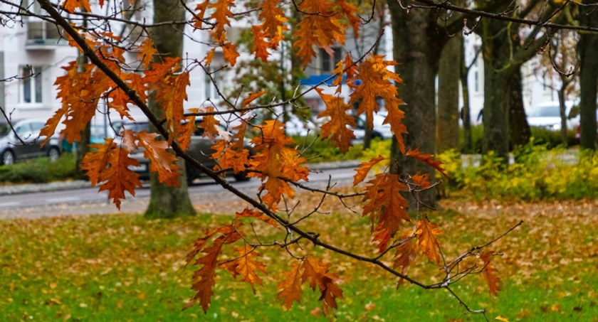 Kołobrzeg w barwach jesieni (foto)