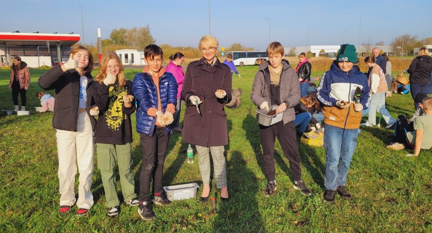 W Kołobrzegu posadzono kolejne 2000 krokusów
