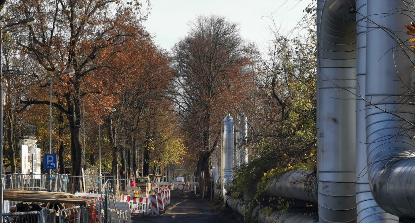 Miasto złożyło wniosek o wycięcie prawie 100 drzew przy Zdrojowej. „Nie mamy wyjścia”