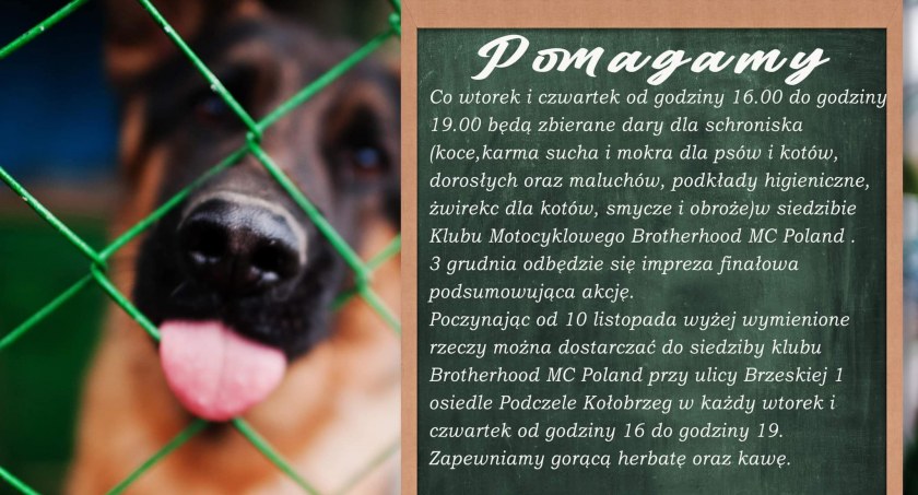 I Ty możesz wesprzeć schronisko. Motocykliści zachęcają do udział w akcji