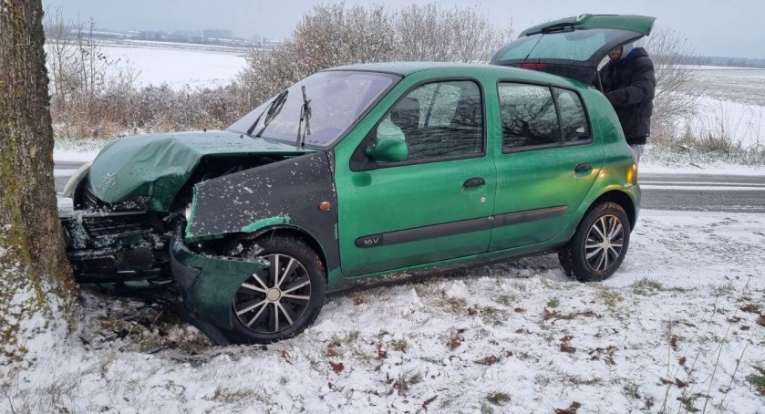 Stracił panowanie nad pojazdem i uderzył w drzewo