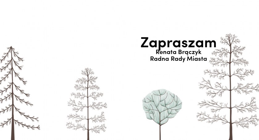 Co z drzewami przy ul. Grzybowskiej? Jest spotkanie z urzędnikami starostwa 