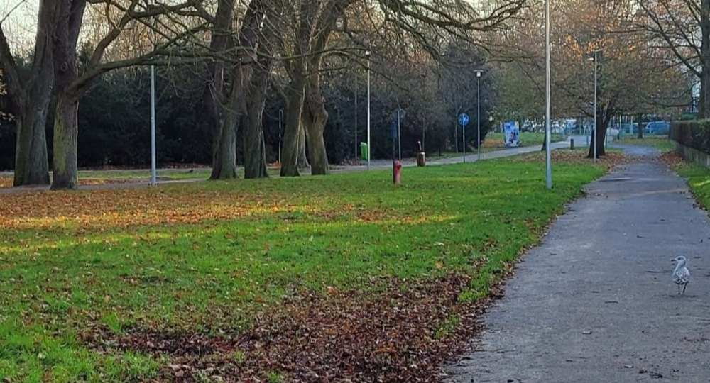 Ulica Spacerowa w Kołobrzegu zostanie przebudowana. Nowe ławki, place zabaw i nasadzenia