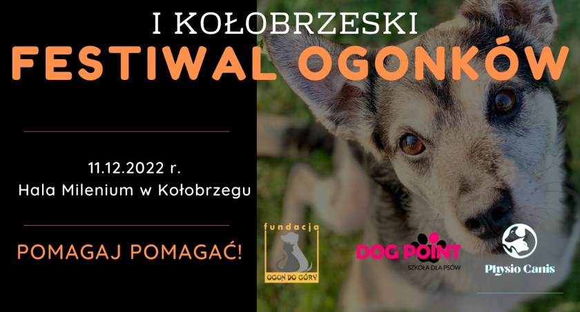 I Kołobrzeski Festiwal Ogonków już w najbliższą niedzielę 