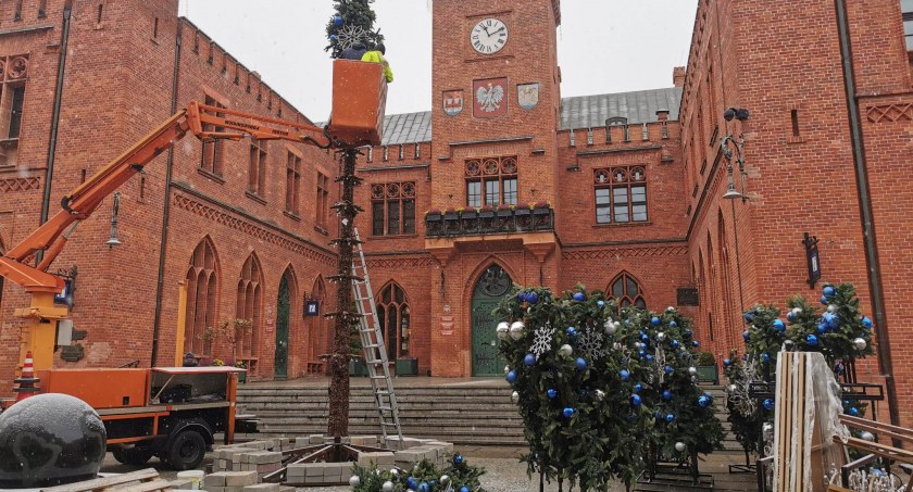 Kołobrzeg: na placu ratuszowym stawiają choinkę. We wtorek uroczyste rozświetlenie (foto)