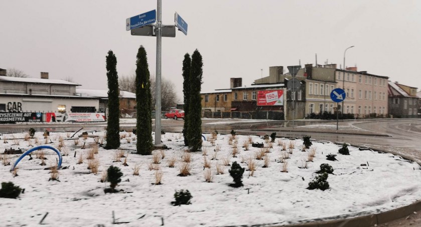 Nasadzenia na kołobrzeskich rondach – kolejne skrzyżowanie ulegnie metamorfozie