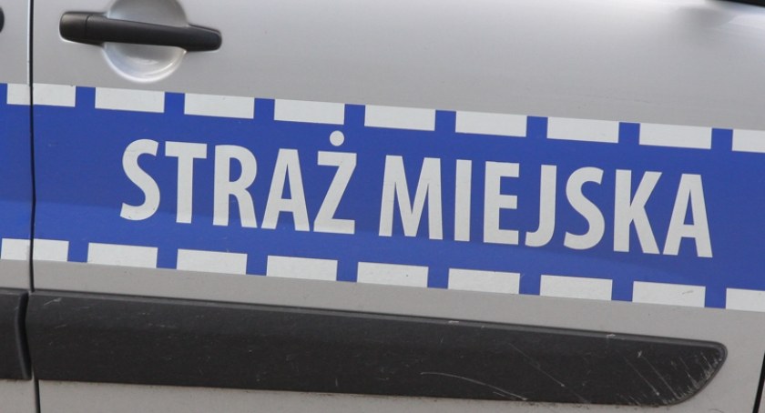 Straż Miejska podsumowała ubiegły rok. Ponad 6 tys. interwencji – mandaty, blokady, ale nie tylko