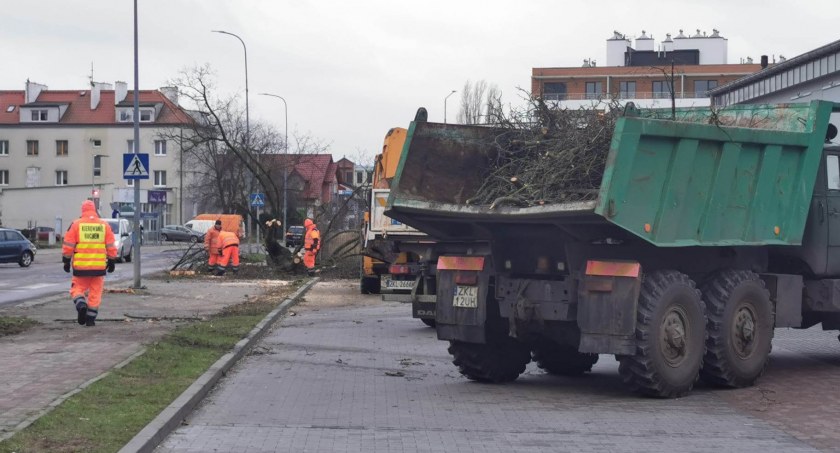 Wycinka drzew przy Jedności Narodowej. Trwa przygotowanie pod rozpoczęcie inwestycji