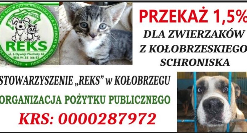 Wesprzyj kołobrzeskie schronisko