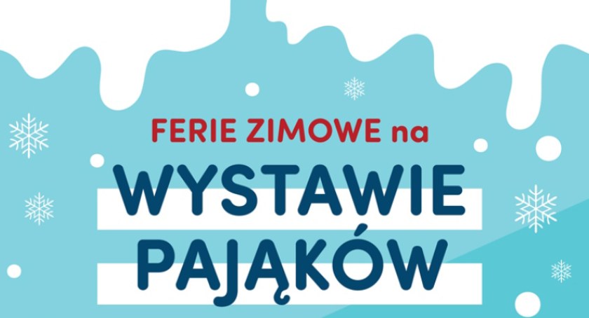 Wystawa Pająków w Kołobrzegu