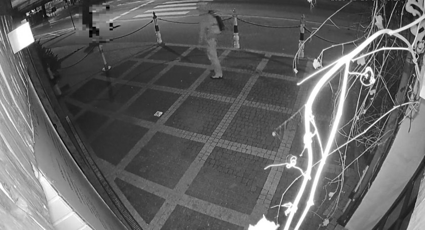 Wandal w rękach policji. Grozi mu do 5 lat więzienia