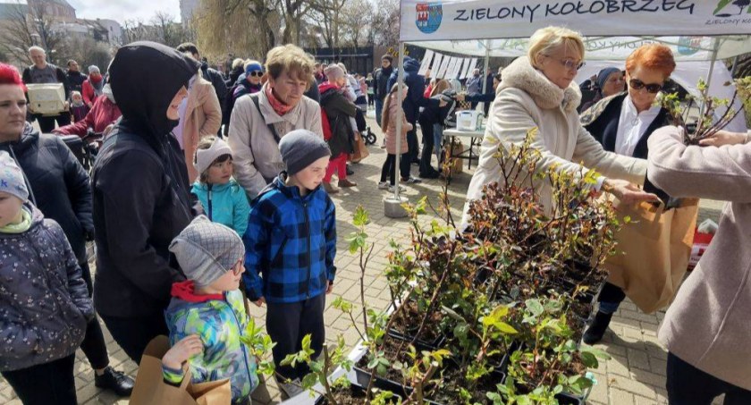 Dzień Ziemi na Skwerze Pionierów. Przyjdź, a za karmę dla kotów  otrzymasz sadzonkę róży