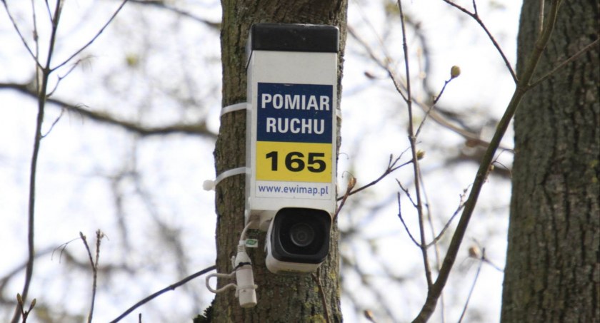 Kamery na drzewach, słupach i stojkach. Po co monitorują kołobrzeskie ulice?