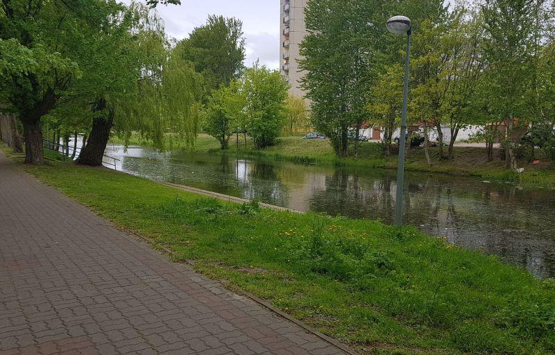 Będzie nowa przystań kajakowa. W planach ławki, wiaty i pomost spacerowo-widokowy