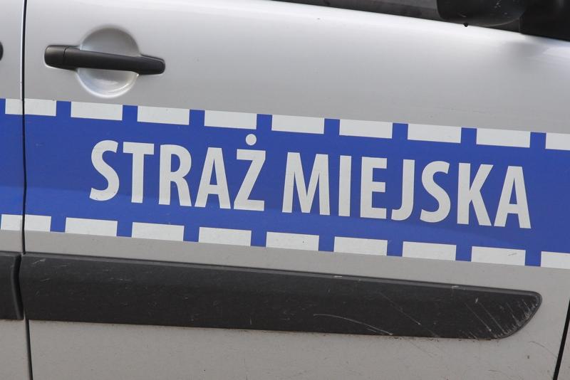 Zostawiła psa w samochodzie. „Sytuacja nie była dramatyczna, ale trzeba uważać