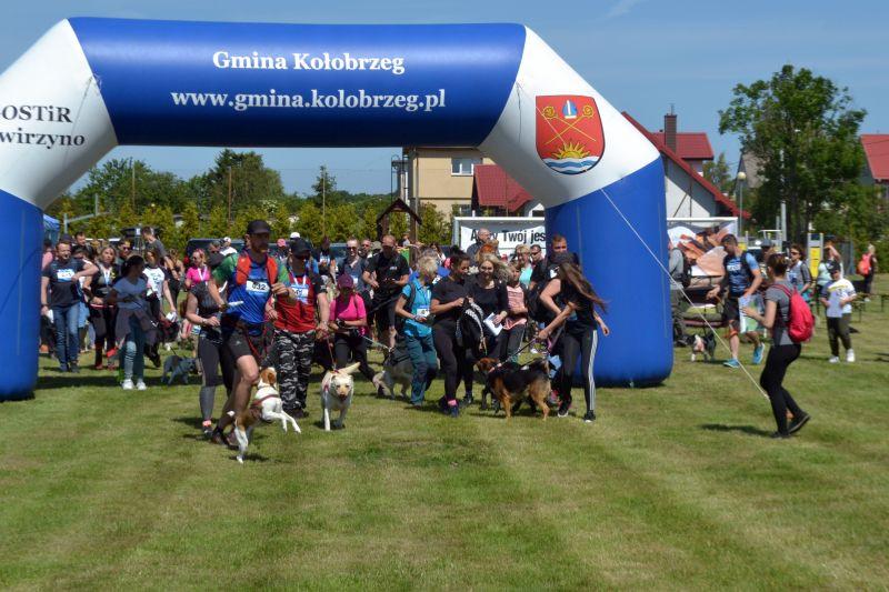 VII edycja kołobrzeskiego Dogtrekkingu