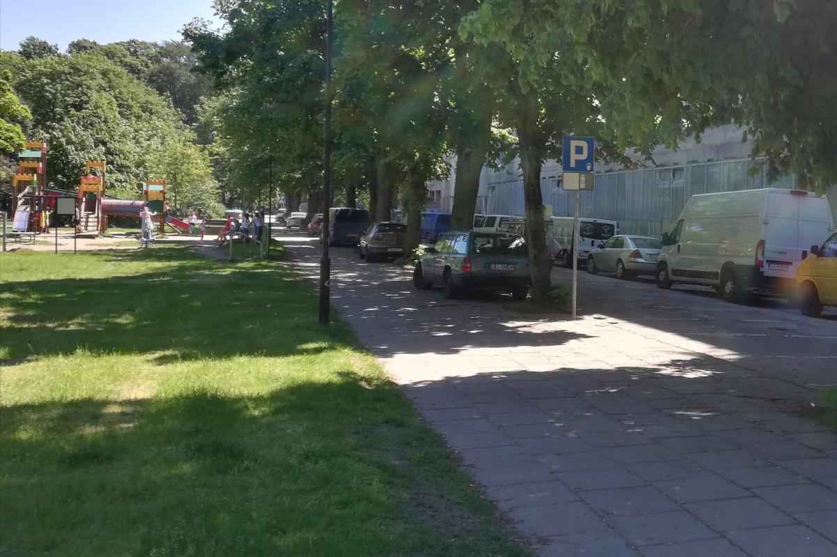 Nie wytną drzew przy ul. Obrońców Westerplatte