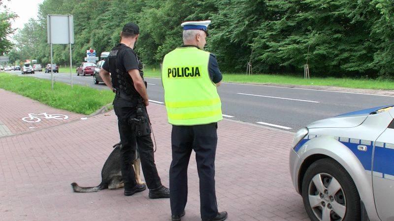 Sunrise Festiwal 2019: Na DK 11 mogą tworzyć się korki. Wybierz alternatywne trasy