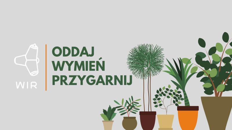 Miejska wymiana roślin
